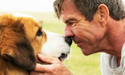 Filmes de cachorro na Amazon Prime